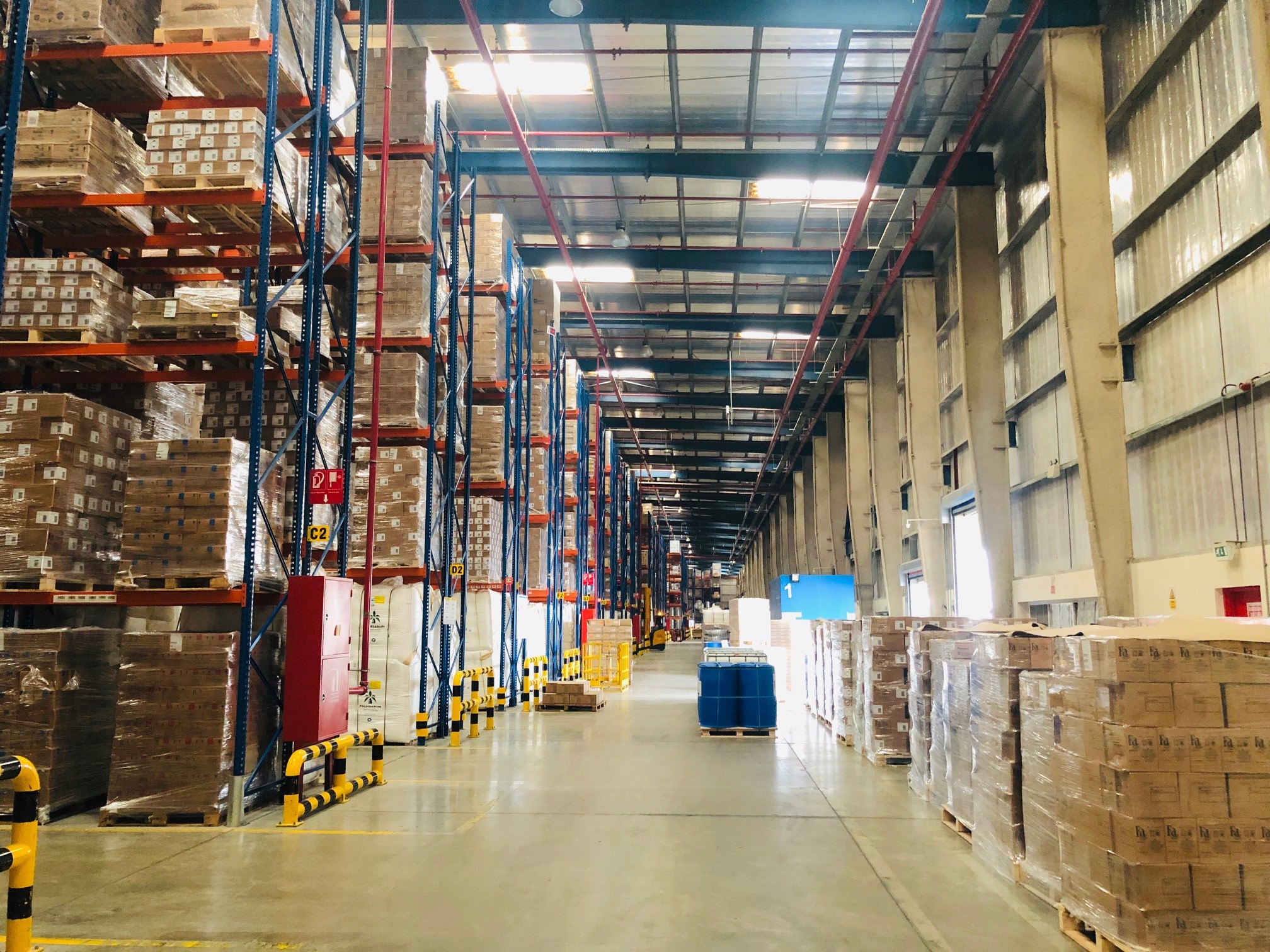 Contact Banner Background