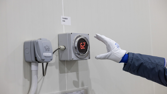 Temperature-Controlled Storage