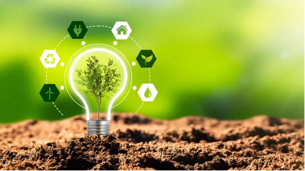 Going Green in E-Commerce