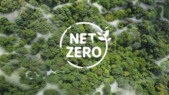 Net-zero carbon emission