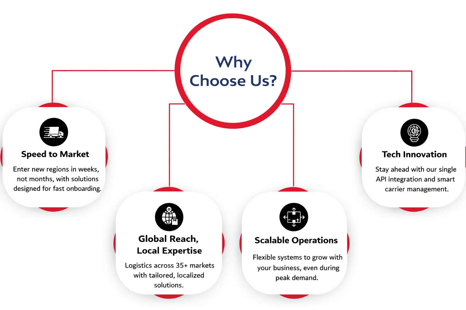 Why Choose Us
